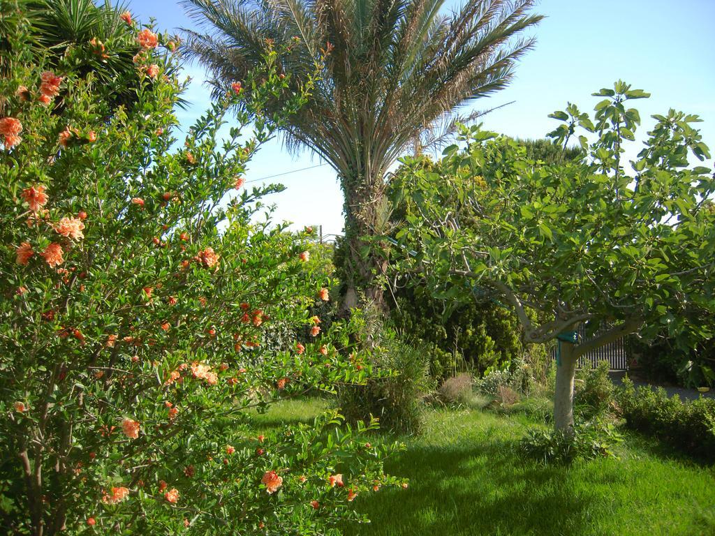 فيلا Casa Marlela بروكولي الغرفة الصورة